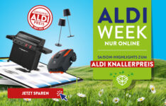 Avail Up to 50% OFF